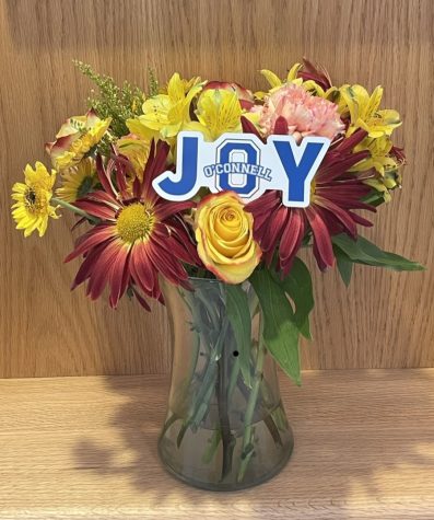 Joy: A Message from the Bishop